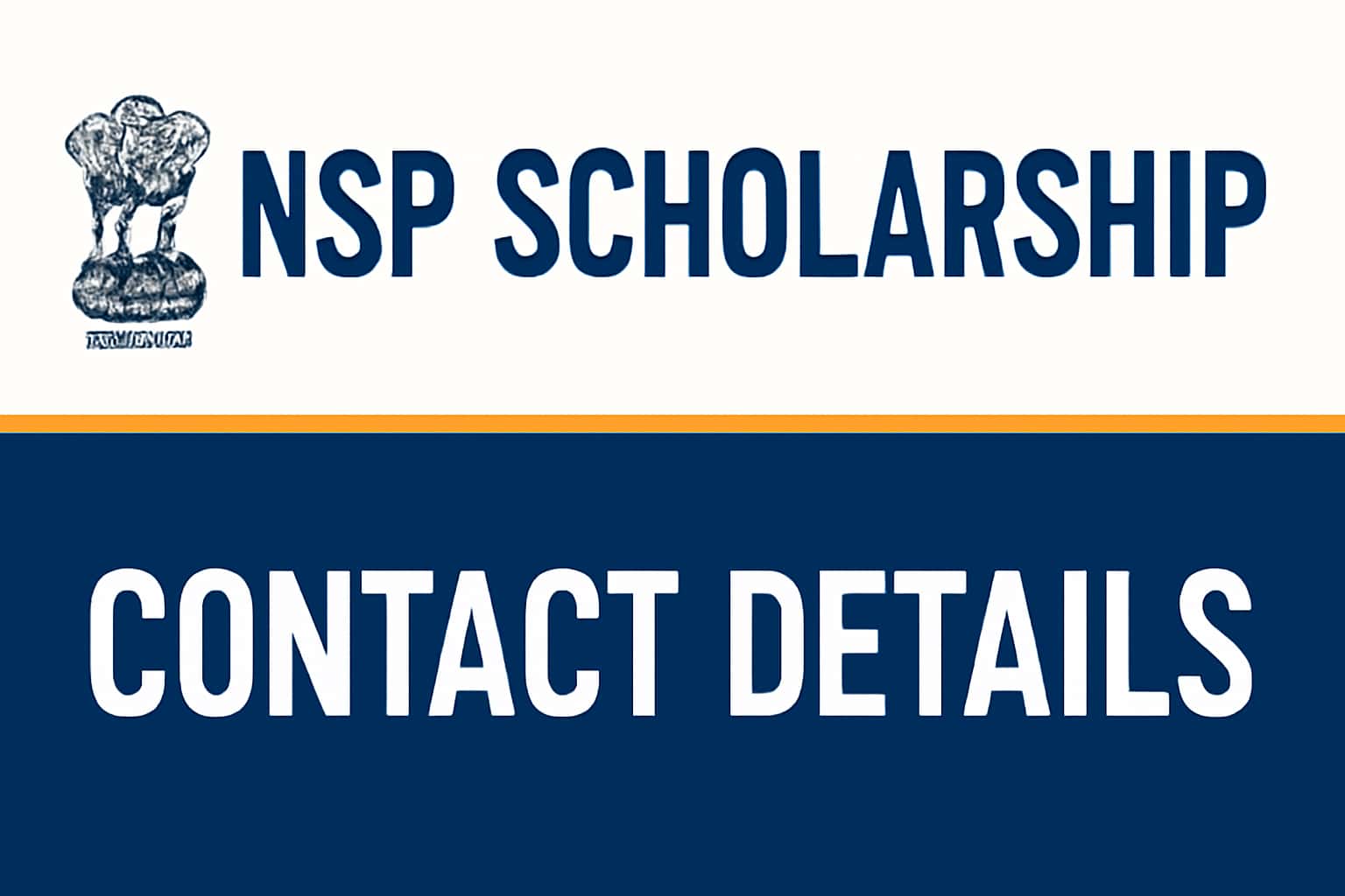 NSP Scholarship Contact Details